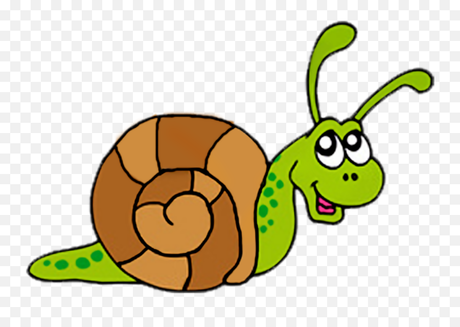 Snail Images Free Download Clipart Png - Snail Clipart,Snail Png