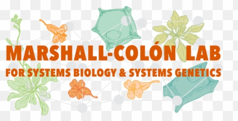 Marshall - Clip Art Png,How To Design A Logo In Photoshop
