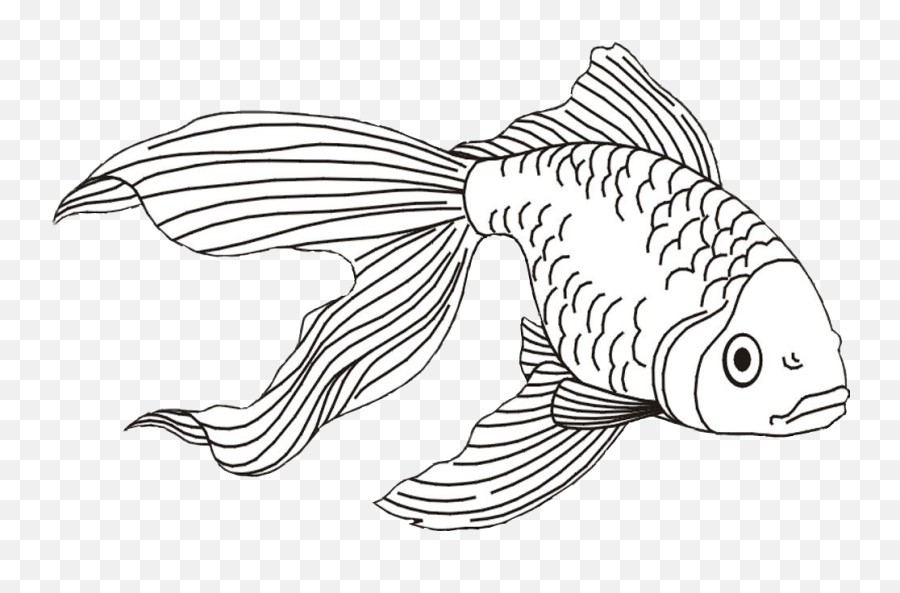 Black Tropical Island Clipart Png Picture 442530 Goldfish - Realistic Fish Coloring Pages,Betta Fish Png