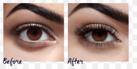 Nouveau Lashes - The Beauty Rooms At The Nibblers U2014 The Eye Liner Png,Lashes Png