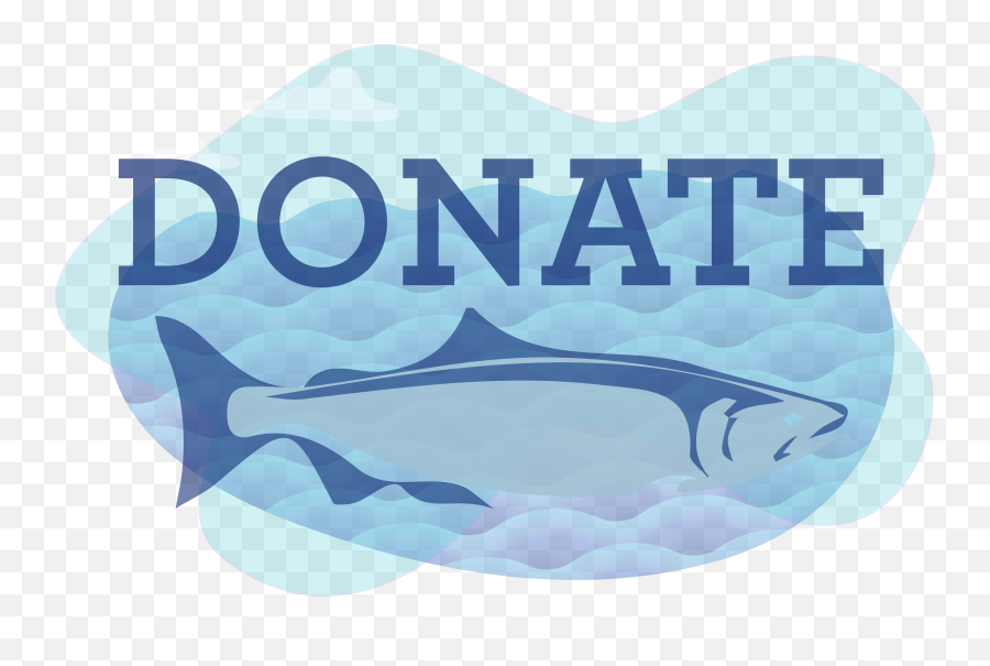 Donate Button - 01 Tuolumne River Trust Killer Whale Png,Donate Button Png