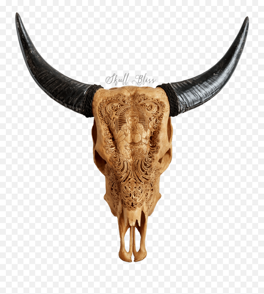 Carved Cow Skull Xl Horns - Antique Ganesha Bull Png,Cow Head Png