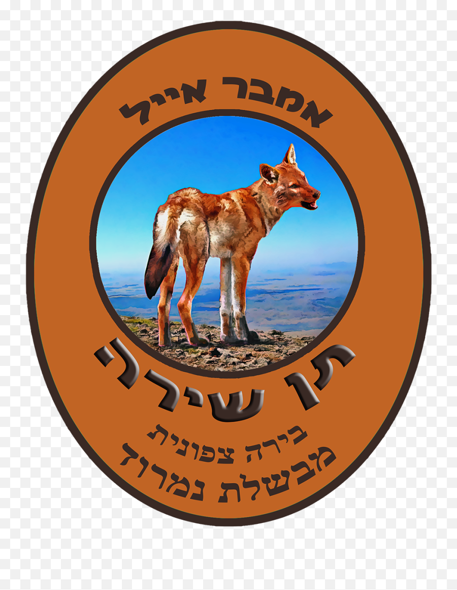 Singing Jackal Amber Ale Cold Lands Artist - Red Wolf Png,Jackal Png