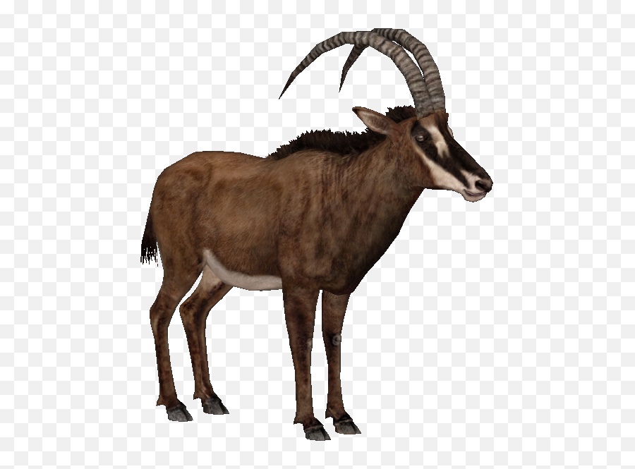 Download Giant Sable Antelope F - Antelope Png,Sable Png