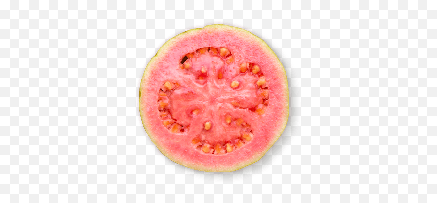 Guava Png - Guava Fruit Slice Png,Guava Png