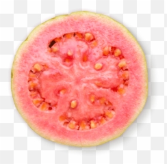 Guava Png - Guava Fruit Slice Png,Guava Png