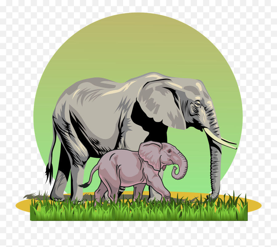 Elephant With Cub Safari - Free Vector Graphic On Pixabay Alphabet Flash Cards E Png,Jungle Animals Png