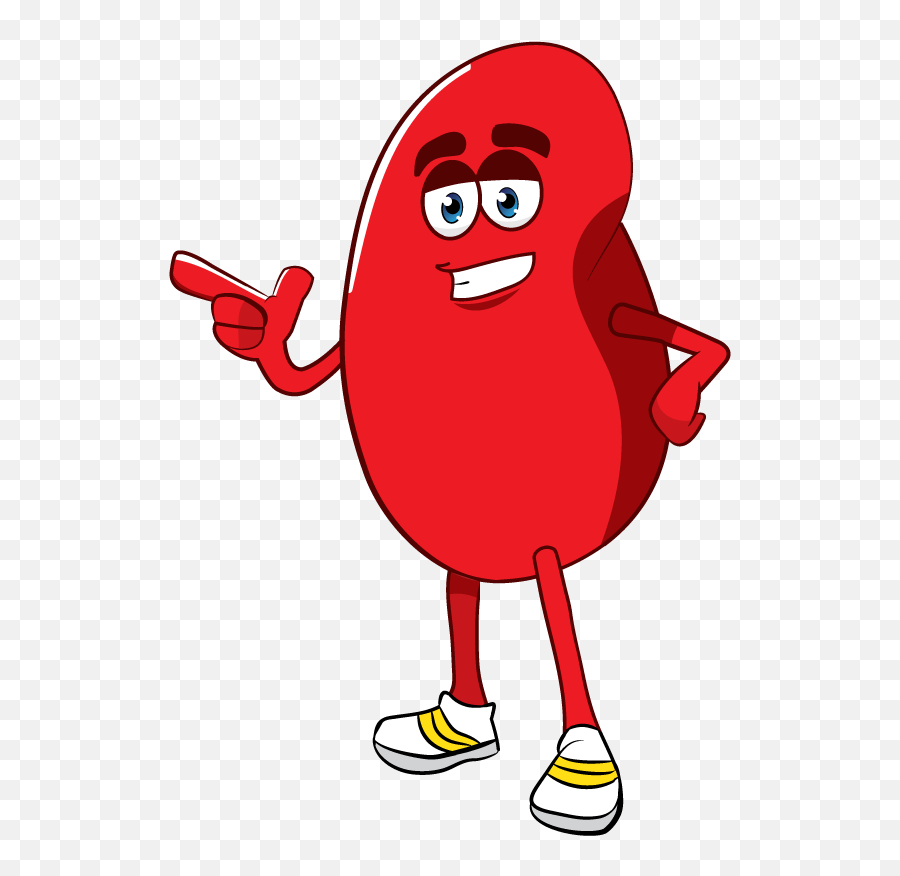 Cartoon Kidney Png Clipart - Cartoon Red Blood Cells Animation,Kidney Png