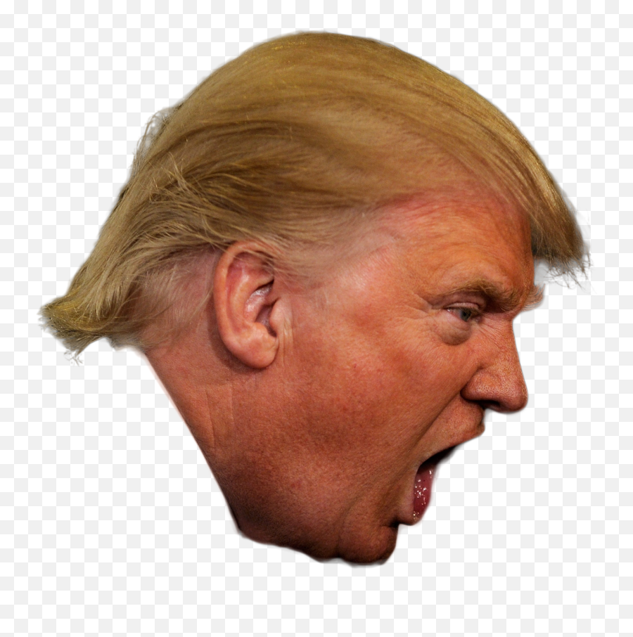 Donald Trump President Of The United - Donald Trump With His Mouth Open Png,Trump Head Transparent Background