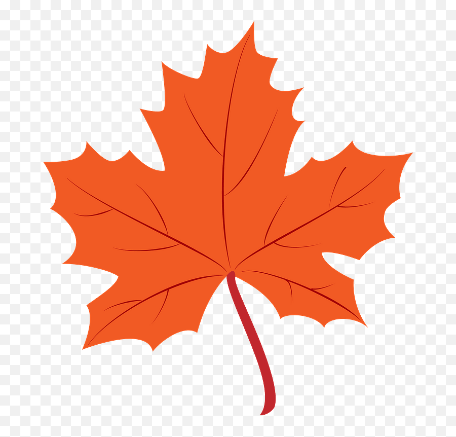 Maple Leaf Clipart - Mapel Leaf Clip Art Png,Maple Png