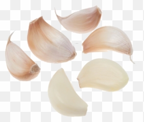 Garlic Png - Herbs For Staphylococcus Aureus,Garlic Png