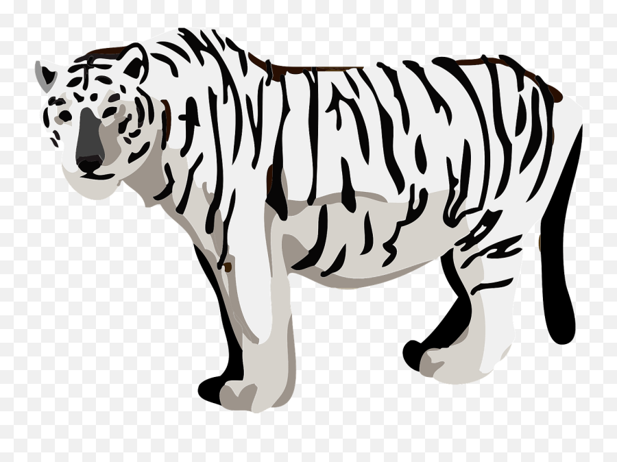 White Tiger Animal Clipart Free Download Creazilla - Tiger Png,White Tiger Png