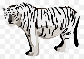 White Tiger Animal Clipart Free Download Creazilla - Tiger Png,White Tiger Png