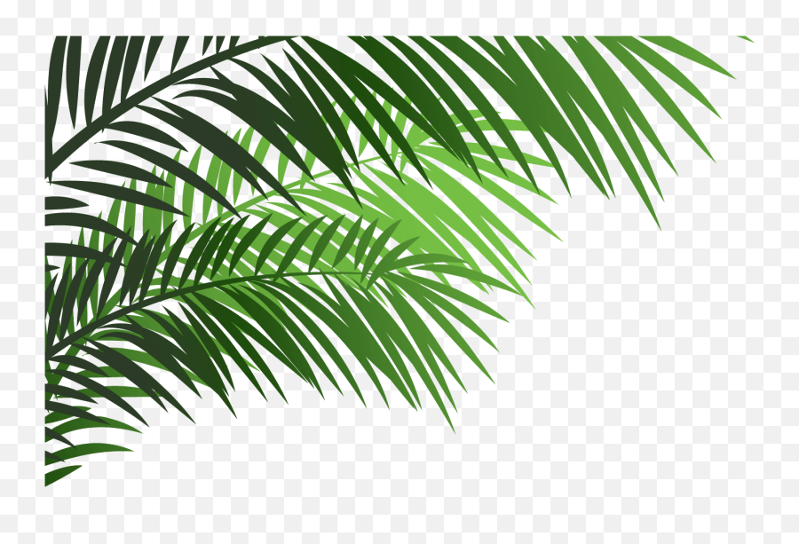 Palm Leaf Emoji Transparent Cartoon - Leaf A Emoji Png,Leaf Emoji Png