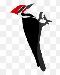 Red Headed Woodpecker Clipart Png - Woodpecker Clipart Png,Woodpecker Png