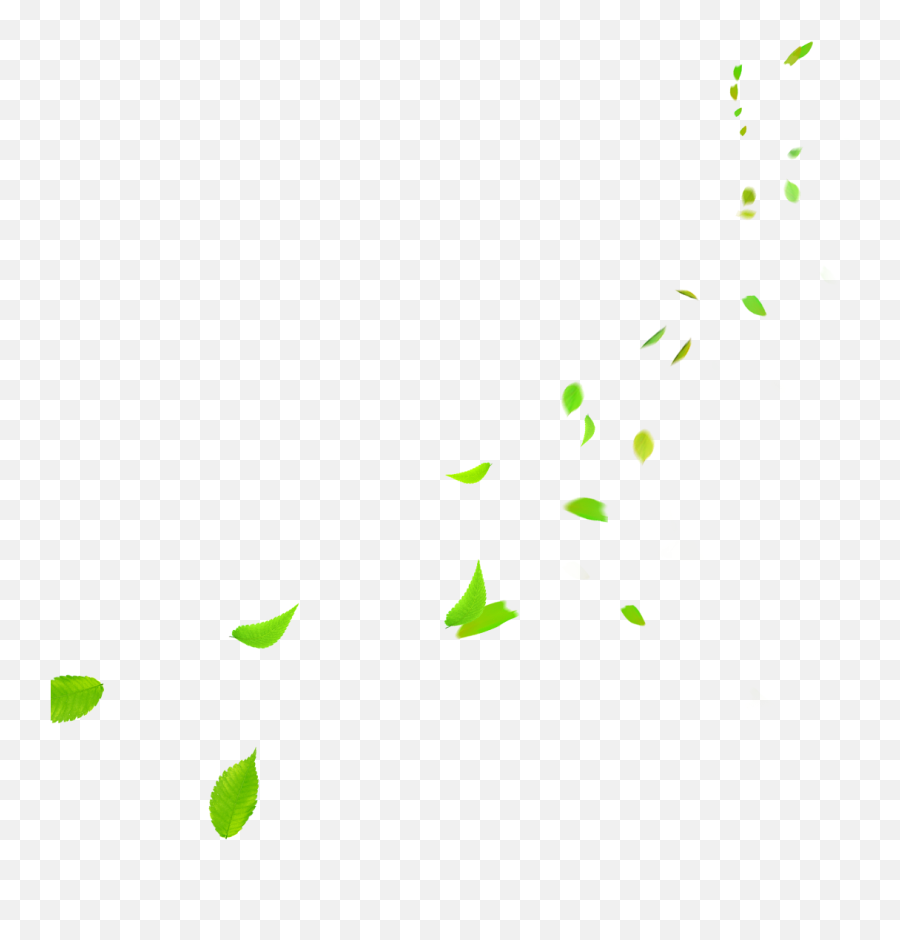 Download Hd Green Leaves Falling Png - Green Leaves Falling Pn,Leaves Falling Png