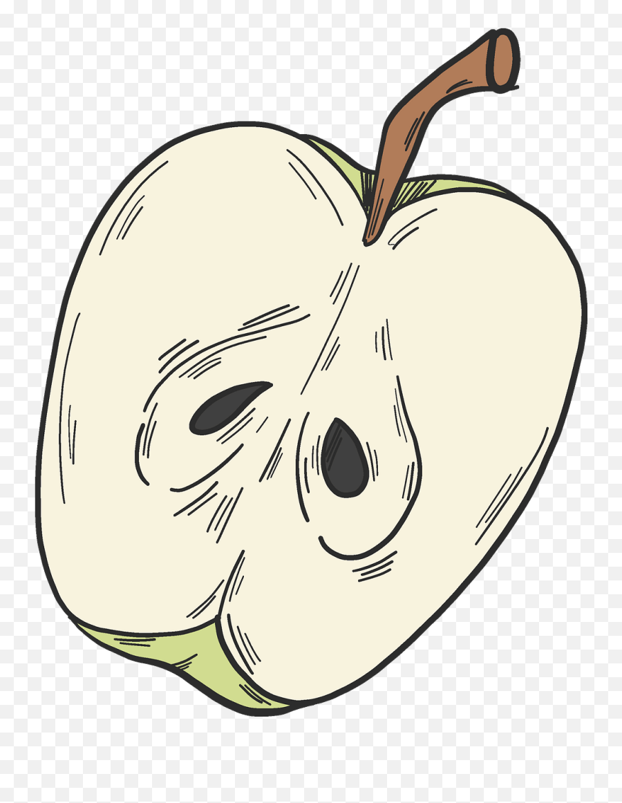 Half Apple Clipart Free Download Creazilla - Illustration Png,Apple Clipart Transparent