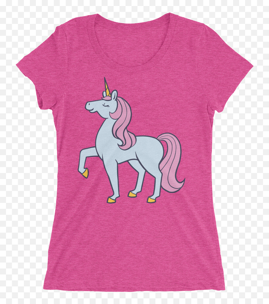 Blue And Pink Unicorn Short Sleeve Womenu0027s T - Shirt T Shirts Three Little Pigs Png,Transparent Unicorn