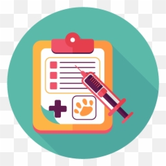 Online Forms Icon Transparent 1 - Patient Information Clipart png