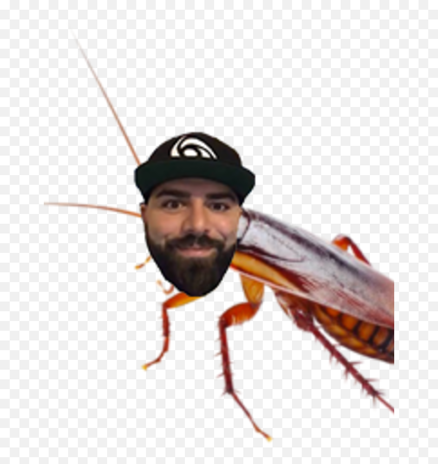 Keemstar - Common Apartment Bugs Png,Keemstar Png