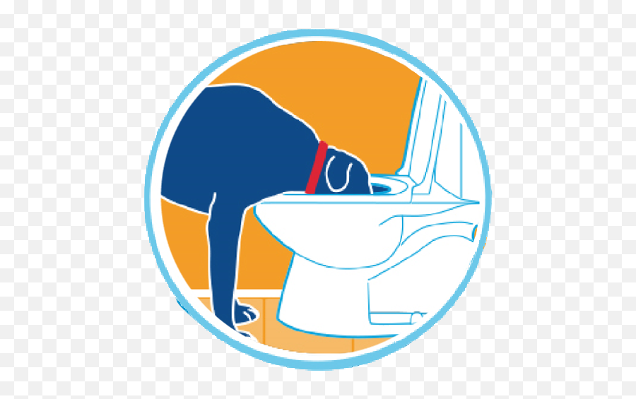 Drinkwell Pet Fountains For Dogs U0026 Cats By Petsafe Brand - Dog Drinking From Toilet Clip Art Png,Platinum Cats Vs Dogs Icon