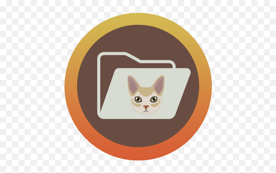 Arlington Animal Hospital - Jacksonville Florida Home Domestic Cat Png,Cat Icon For Facebook