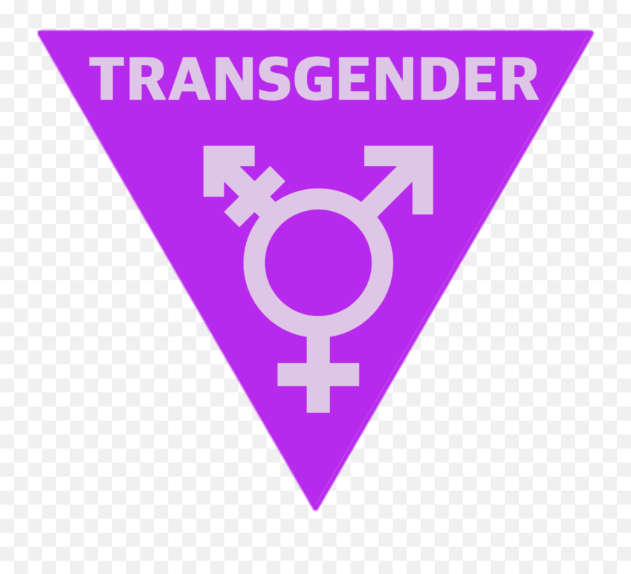 All About The Transgender Symbol - My Transgender Blog Trans Signs Png,Transgender Flag Icon