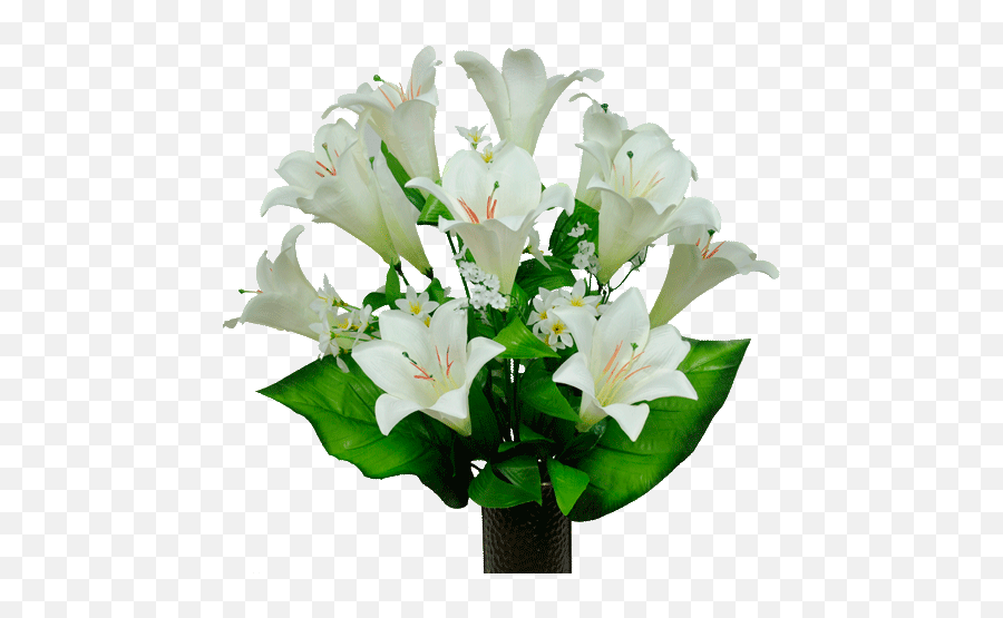 White Satin Lily - Flower Png,Easter Lily Png