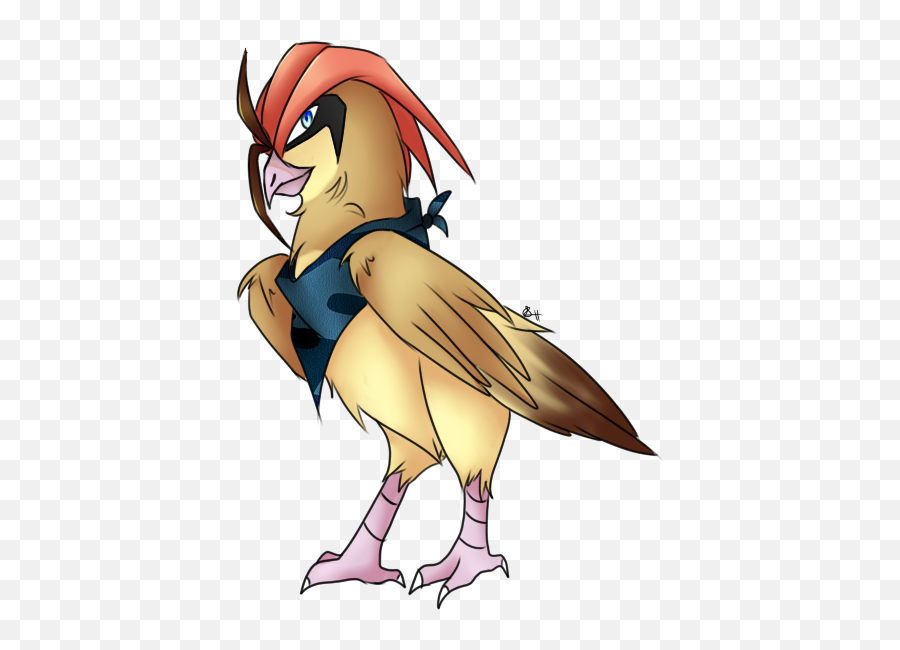 Baaron The Pidgeotto Pokécharms - Bird Of Prey Png,Pidgeot Png