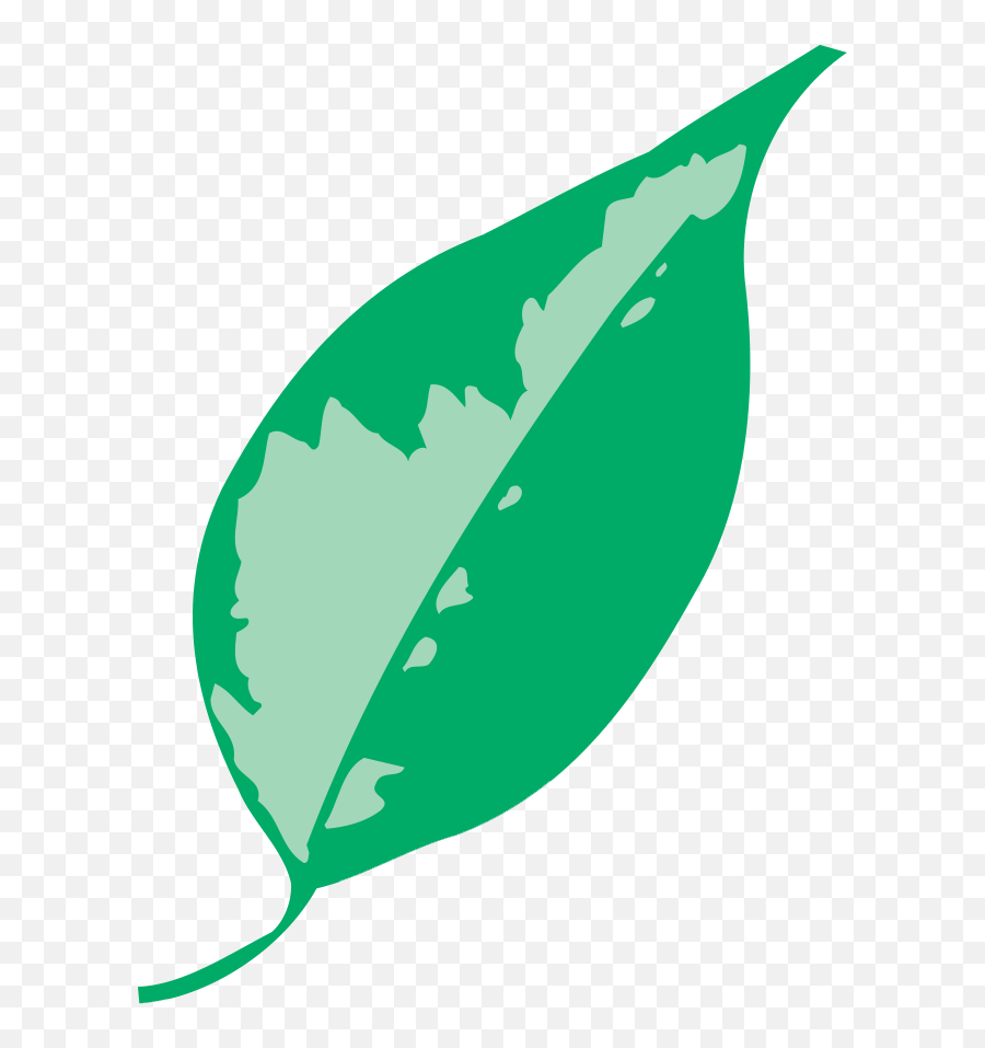 White Label Natural Wellness Products Sombra Inc - Sombra Professional Therapy Logo Png,Icon Add A Leaf