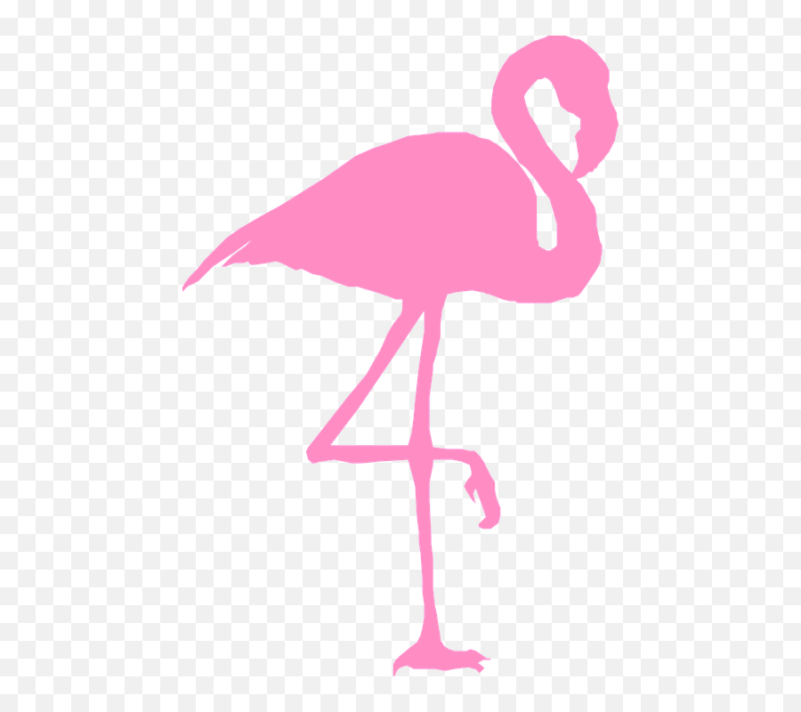 Image Gratuite Sur Pixabay - Flamingo Png,Rose Silhouette Png