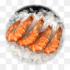 Frozen Shrimp Mu0026m Seafood - Frozen Shrimp Png,Shrimp Png