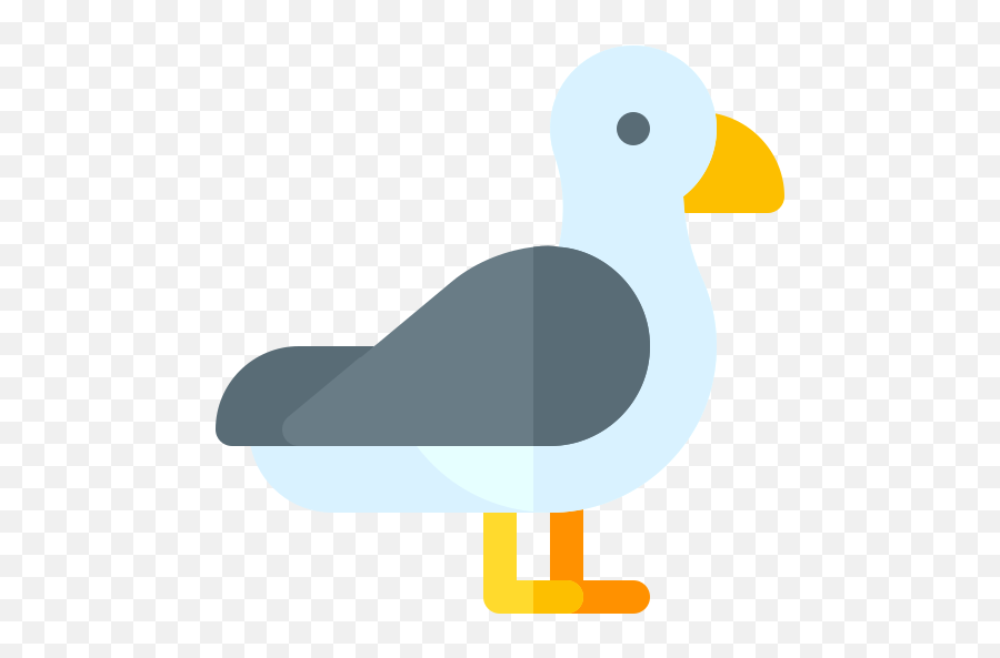 Seagull - Free Animals Icons Duck Png,Seagulls Png