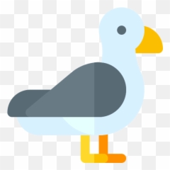 Seagull - Free Animals Icons Duck Png,Seagulls Png