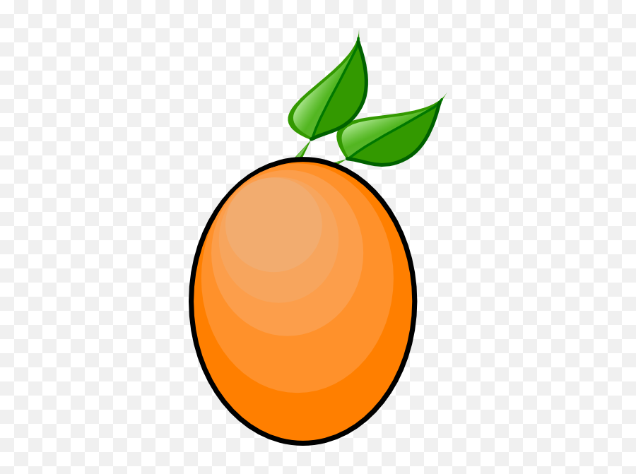 Download Mango Clipart Transparent - Orange Mango Clipart Png,Mango Transparent Background