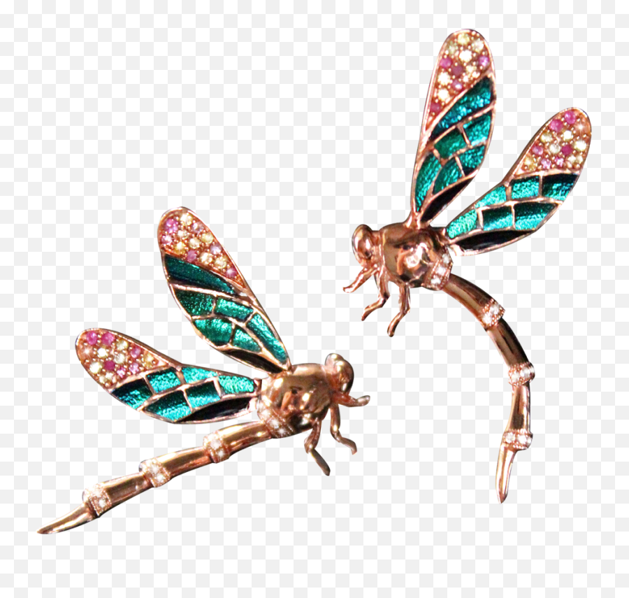 Net - Insects Png,Insects Png