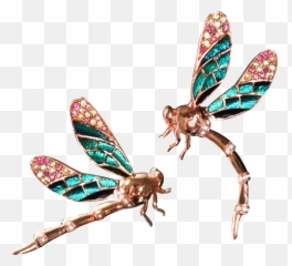 Net - Insects png