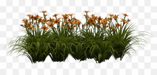 Images V50 Png Oq65 Lily Leaves - Editing Flower Png Hd,Lily Png
