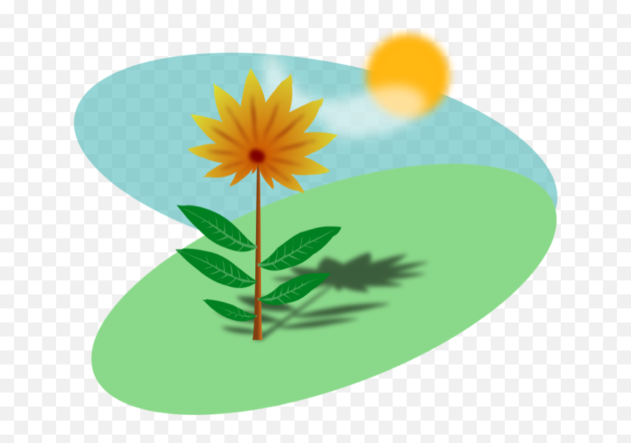 Summer Clipart - Basic Needs Of Plants Png,Summer Clipart Png