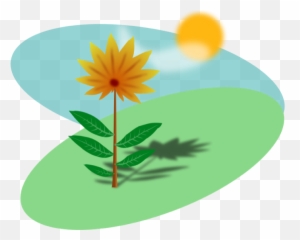 Summer Clipart - Basic Needs Of Plants Png,Summer Clipart Png