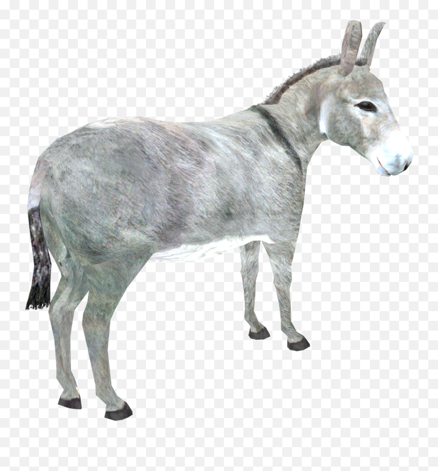 Donkey Png Download Image - Donkey Png,Donkey Png
