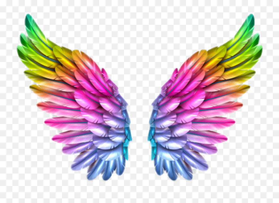 Tinkerbell Wings Png - Rainbow Colorful Colors Wings Fly To Your Dream Wings,Realistic Angel Wings Png