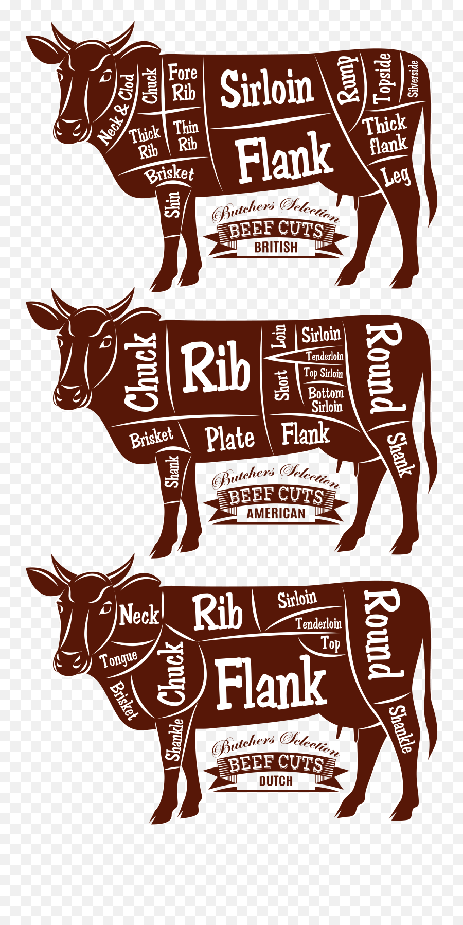 Beef Cattle Cut Of Diagram Butcher - Vector Cow Png Beef Cuts Clip Art Free,Cuts Png