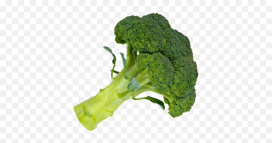 Broccoli Png Picture - Broccoli Png,Brocolli Png