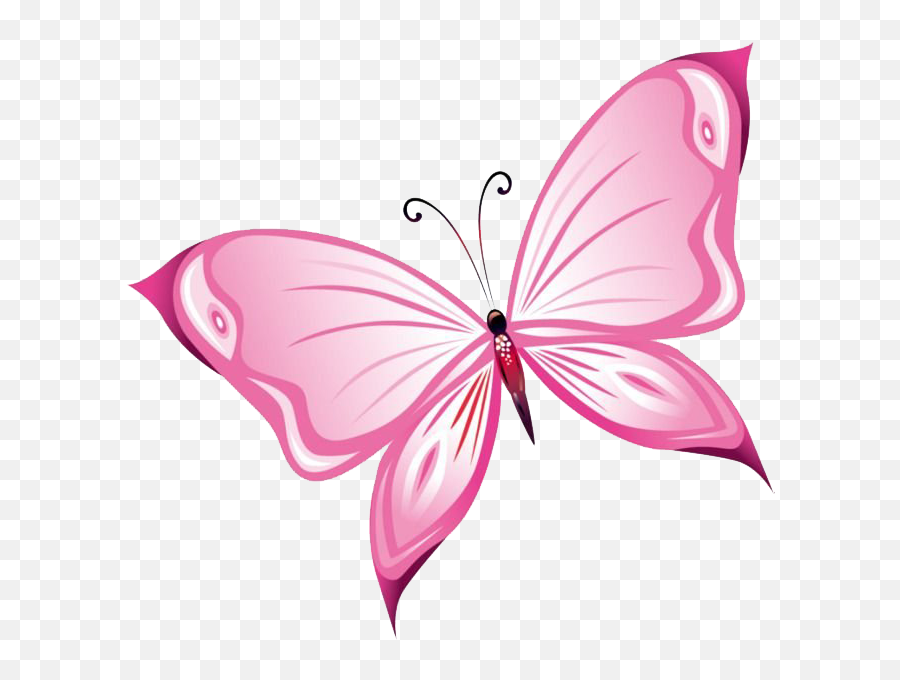 Pink Butterfly Png Image - Pink Butterfly Transparent Background,Real Butterfly Png