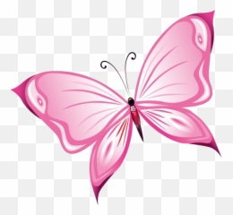 Pink Butterfly Png Image - Transparent Background