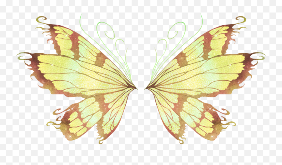 Fairy Wings - Yellow Fairy Wings Png Png Download Yellow Fairy Wings Png,Fairy Wings Png