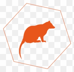Possums - Cat Jumps Png,Possum Transparent