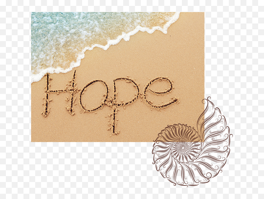 The Becky L Jackson Recovery Model U2013 Recover From Dieting - Hope On A Beach Png,Becky G Png
