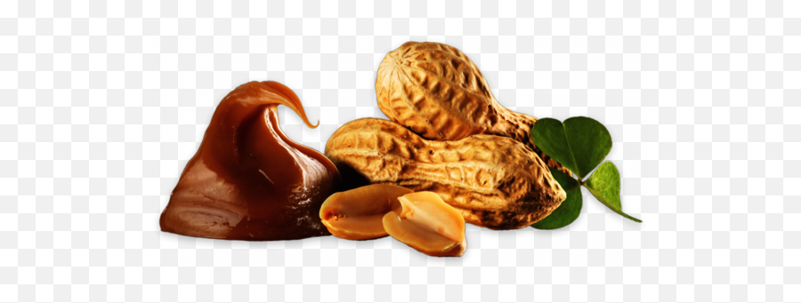 Almondy Cake With Caramel And Peanut - Peanuts And Caramel Png,Peanut Png